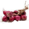 Cipolla A Treccia 5Kg