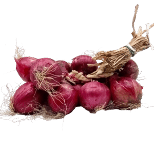 Cipolla A Treccia 5Kg